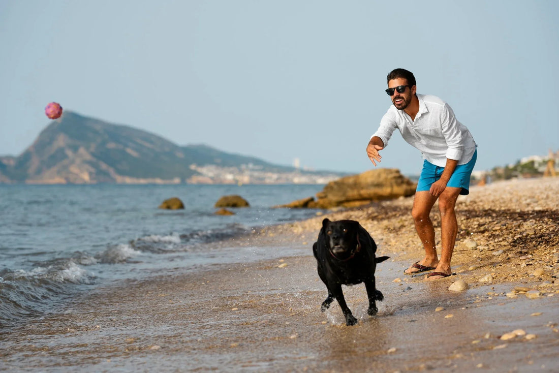 Aussie Summer Pet Care: Keeping Your Pets Cool and Happy