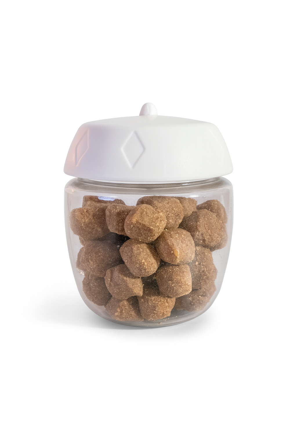 SmartPet Hydration & Snack Bottle