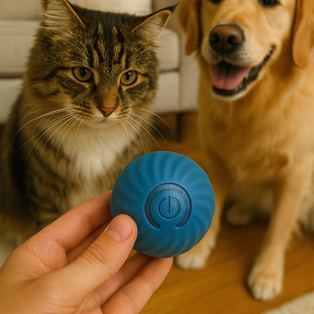 Jump & Play Smart Ball