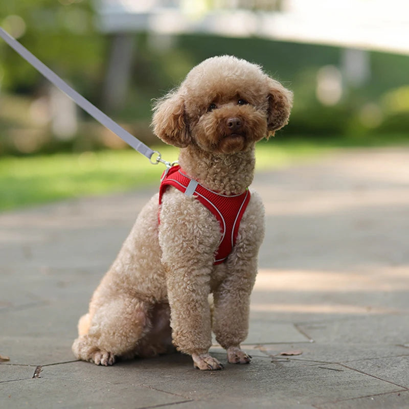 SnugPaw Adjustable Harness