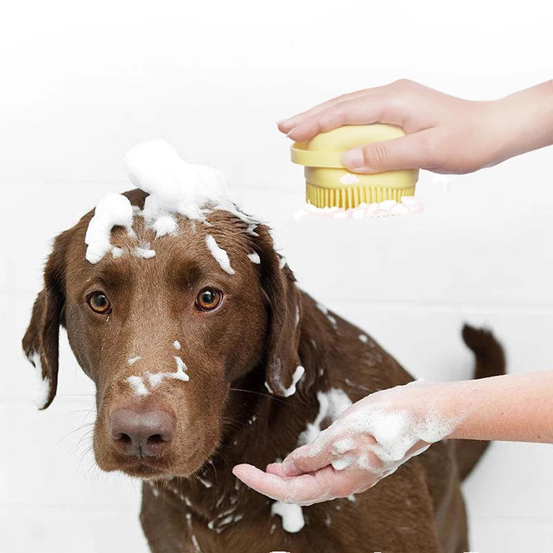 PawSpa Bath & Massage