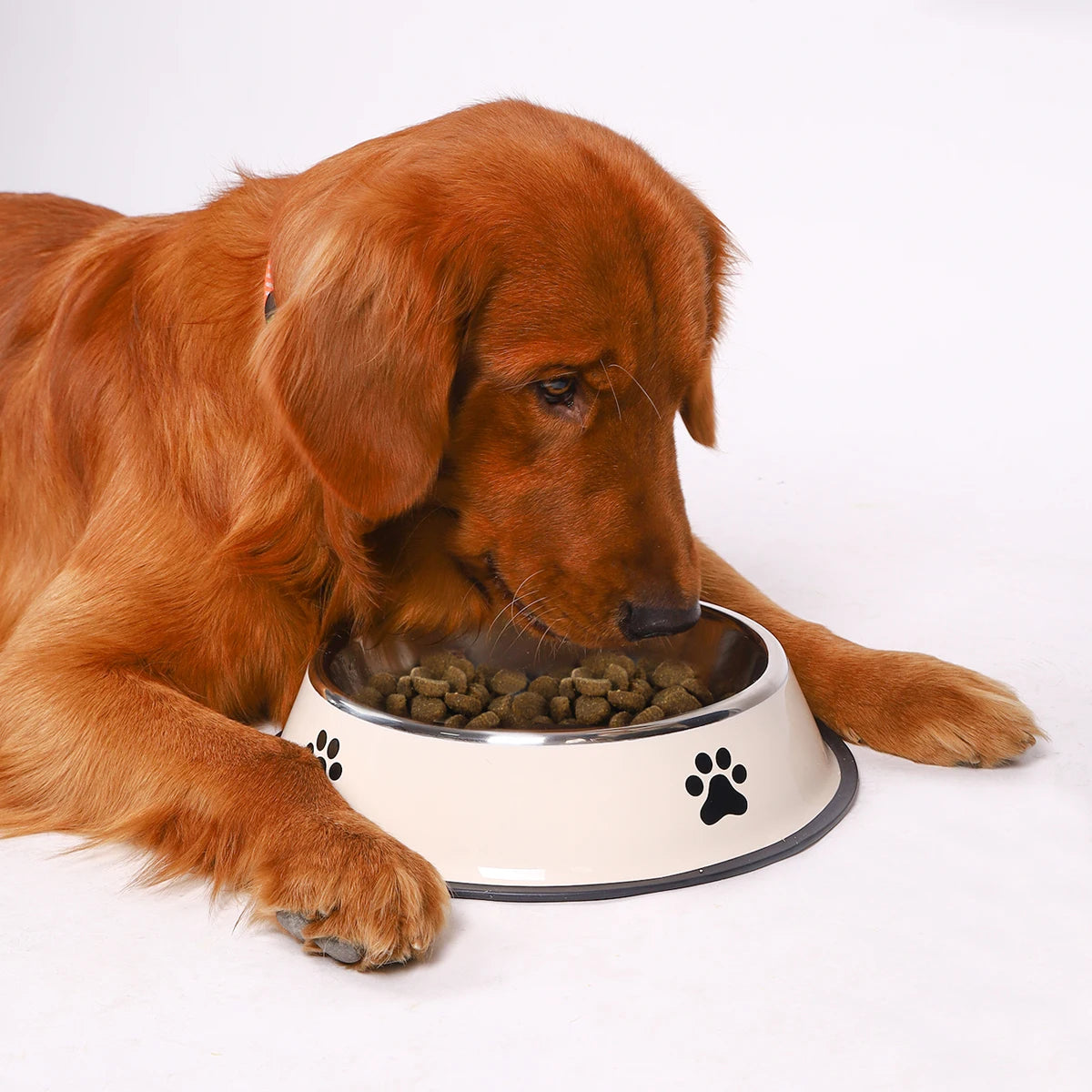 PawSteel Dog Bowl