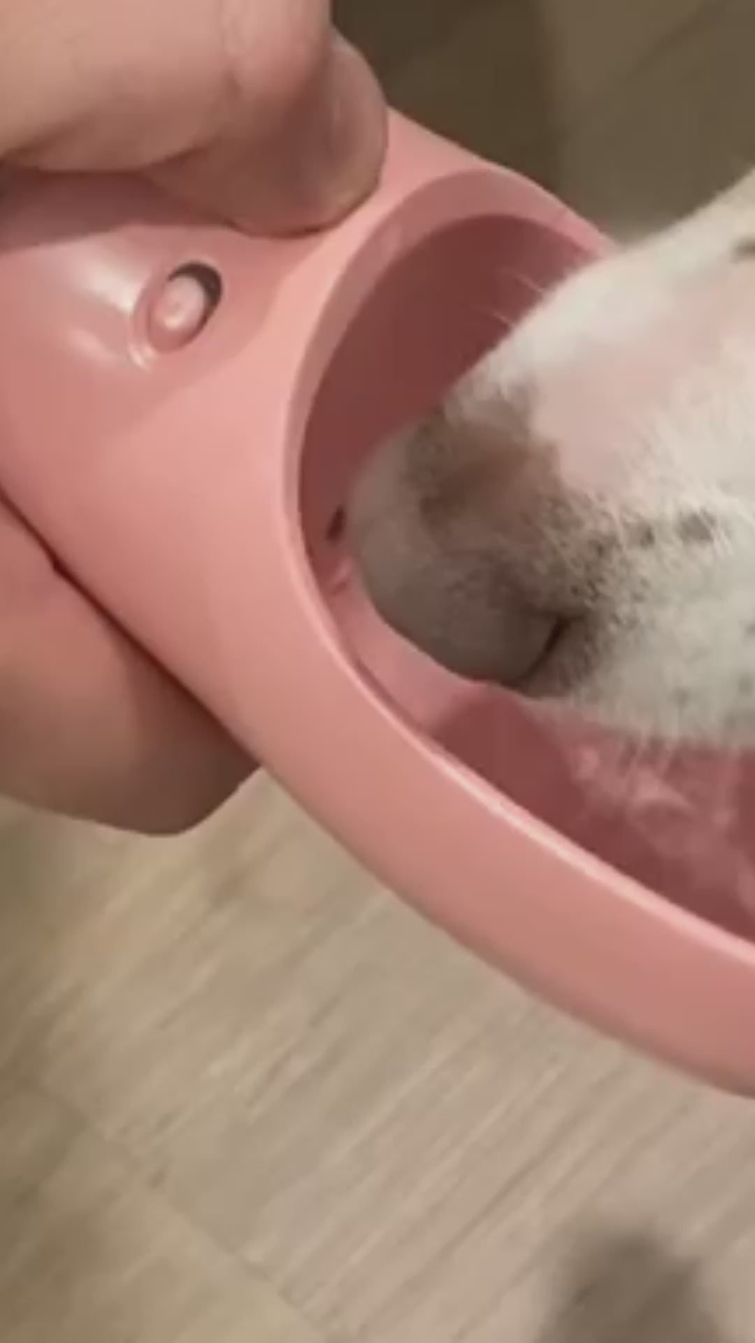 SmartPet Hydration & Snack Bottle